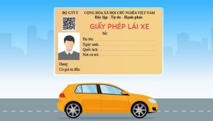 giay phep lai xe 2025
