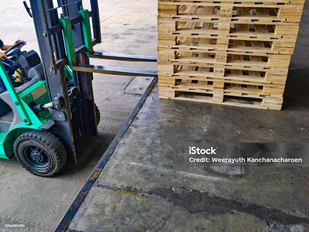 istockphoto 1256284390 1024x1024 1